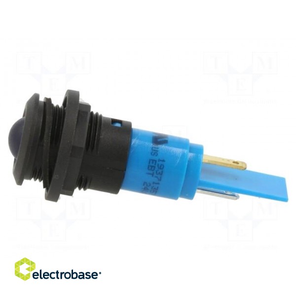 Indicator: LED | prominent | blue | 24VDC | 24VAC | Ø16mm | IP67 | plastic image 3