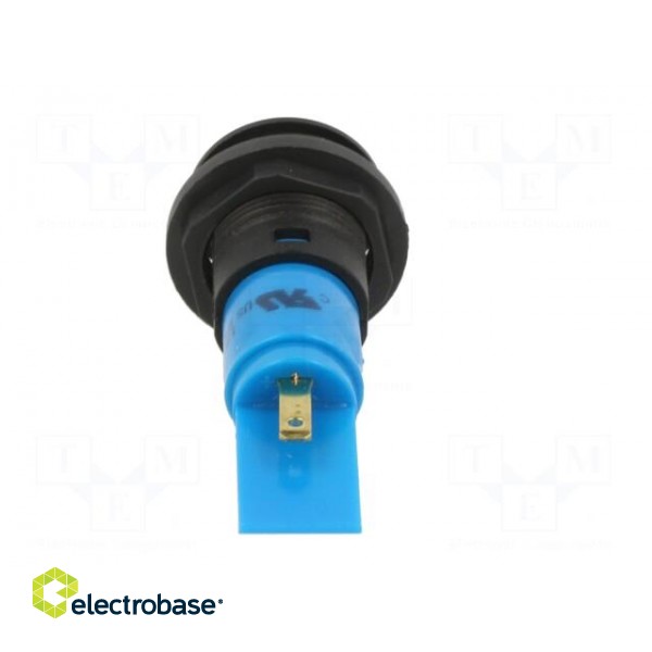 Indicator: LED | prominent | blue | 24VDC | 24VAC | Ø16mm | IP67 | plastic image 5