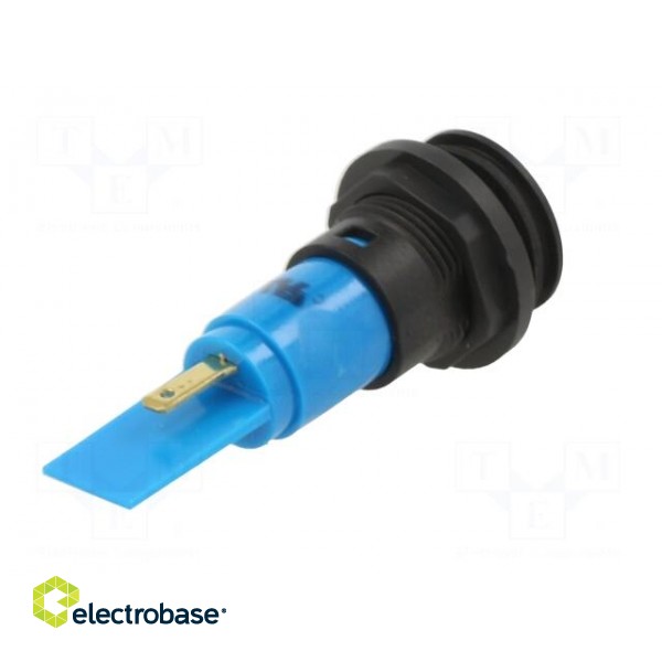 Indicator: LED | prominent | blue | 24VDC | 24VAC | Ø16mm | IP67 | plastic image 6