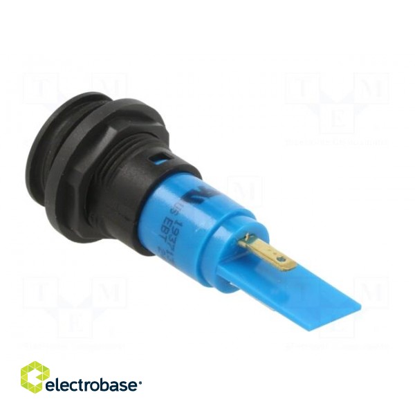Indicator: LED | prominent | blue | 24VDC | 24VAC | Ø16mm | IP67 | plastic image 4