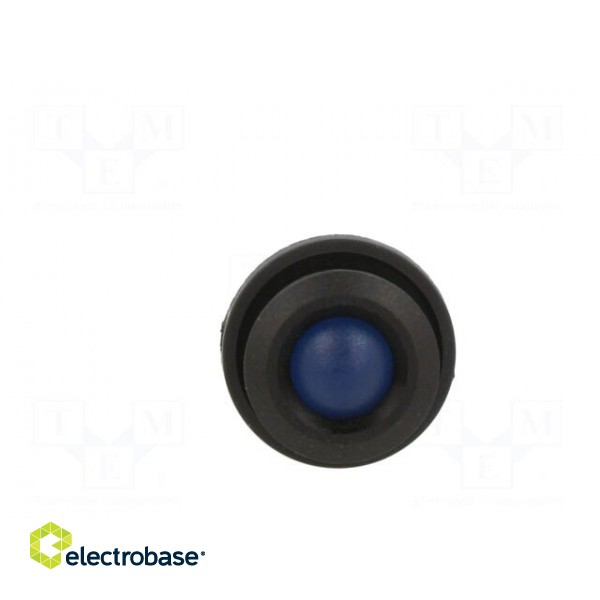 Indicator: LED | prominent | blue | 24VDC | 24VAC | Ø16mm | IP67 | plastic image 9