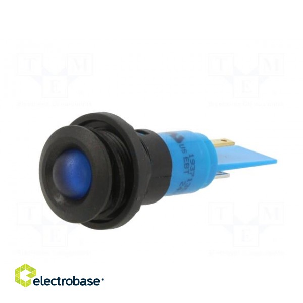 Indicator: LED | prominent | blue | 24VDC | 24VAC | Ø16mm | IP67 | plastic image 2