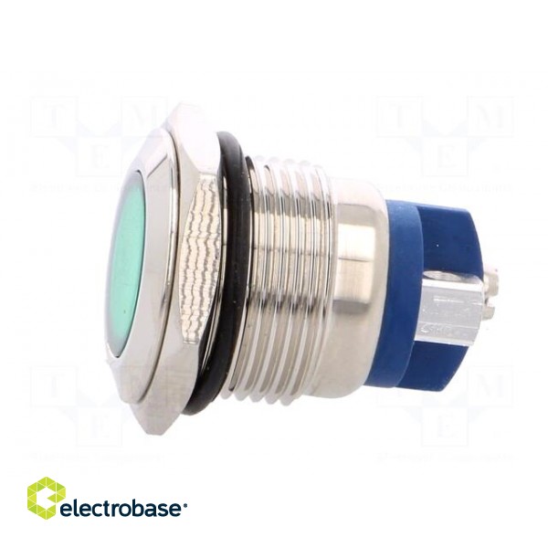 Indicator: LED | flat | 24VDC | 24VAC | Cutout: Ø16mm | screw | brass фото 3
