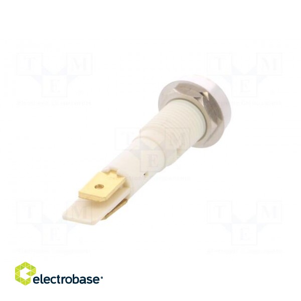Indicator: LED | flat | 24VDC | 24VAC | Cutout: Ø10mm | plastic image 6