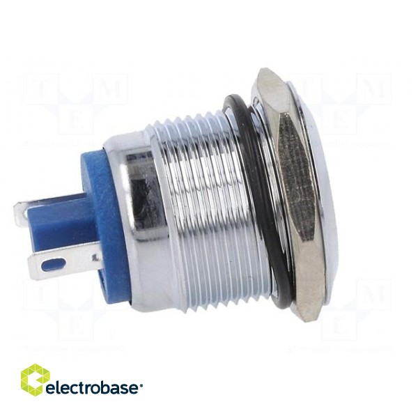 Indicator: LED | flat | blue | 24VDC | 24VAC | Ø19mm | brass | Body: silver image 7