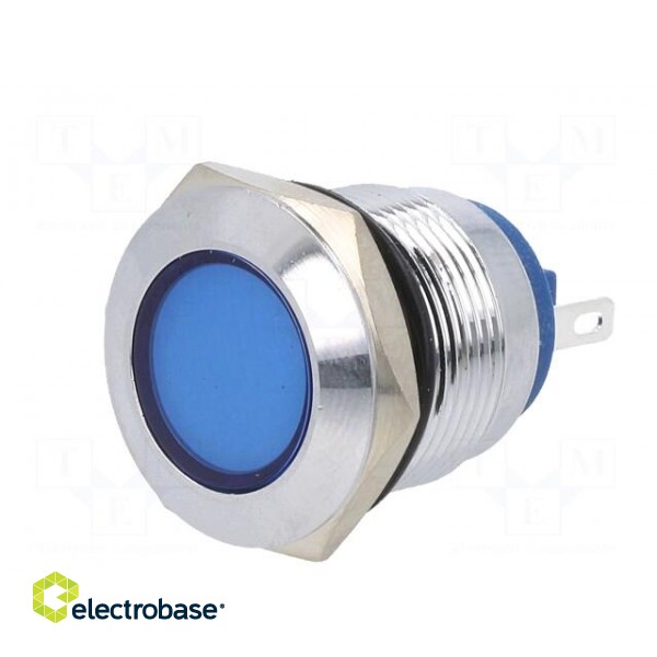 Indicator: LED | flat | blue | 24VDC | 24VAC | Ø19mm | brass | Body: silver image 2