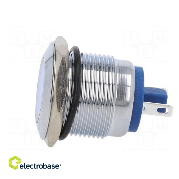 Indicator: LED | flat | blue | 24VDC | 24VAC | Ø19mm | brass | Body: silver image 3