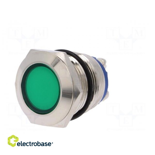Indicator: LED | flat | 12VDC | 12VAC | Cutout: Ø19mm | screw | brass image 2