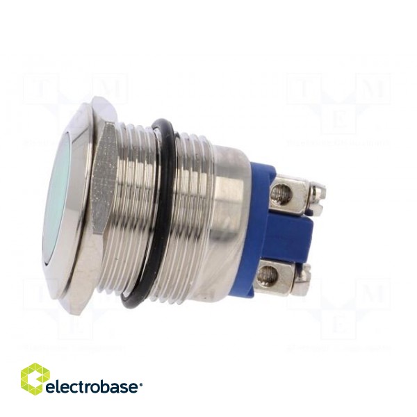 Indicator: LED | flat | 12VDC | 12VAC | Cutout: Ø19mm | screw | brass image 3