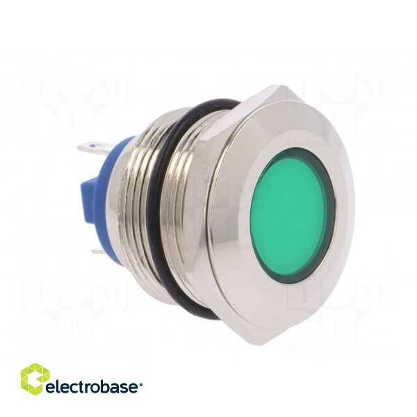 Indicator: LED | flat | 12VDC | 12VAC | Cutout: Ø22mm | brass фото 8