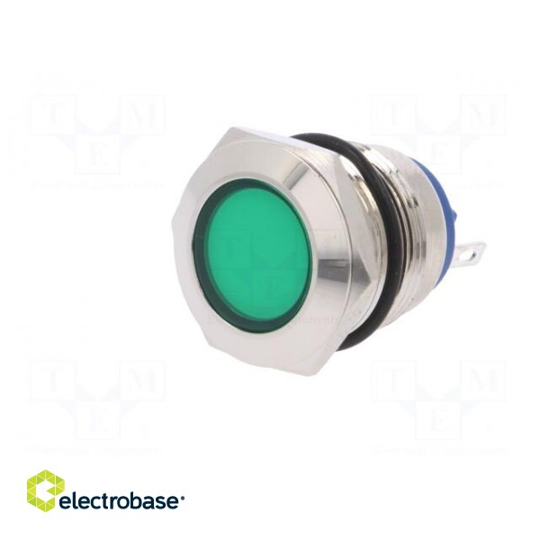 Indicator: LED | flat | 24VDC | 24VAC | Cutout: Ø19mm | brass фото 2