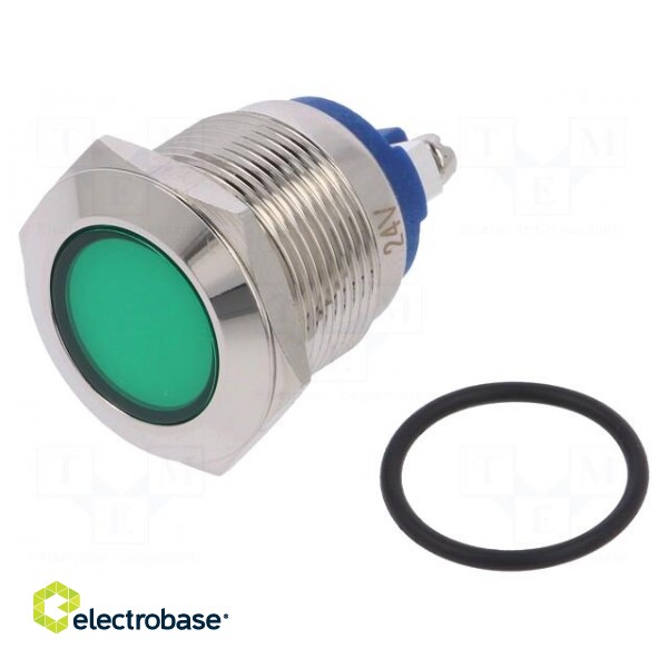 Indicator: LED | flat | 24VDC | 24VAC | Cutout: Ø19mm | screw | brass image 1