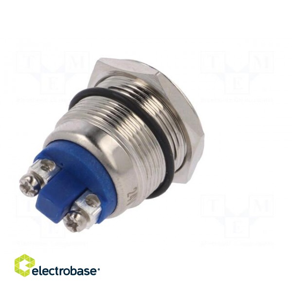 Indicator: LED | flat | 24VDC | 24VAC | Cutout: Ø19mm | screw | brass image 6