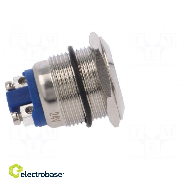 Indicator: LED | flat | 24VDC | 24VAC | Cutout: Ø19mm | screw | brass image 7