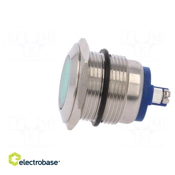 Indicator: LED | flat | 24VDC | 24VAC | Cutout: Ø19mm | screw | brass image 3