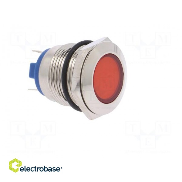 Indicator: LED | flat | 24VDC | 24VAC | Cutout: Ø19mm | brass image 8