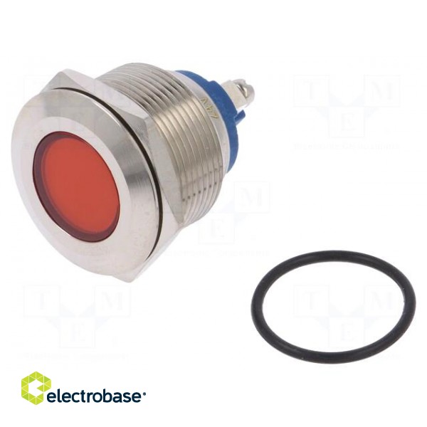 Indicator: LED | flat | 24VDC | 24VAC | Cutout: Ø22mm | screw | brass фото 1