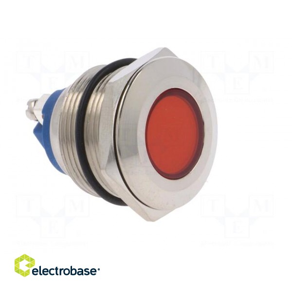 Indicator: LED | flat | 24VDC | 24VAC | Cutout: Ø22mm | screw | brass фото 8