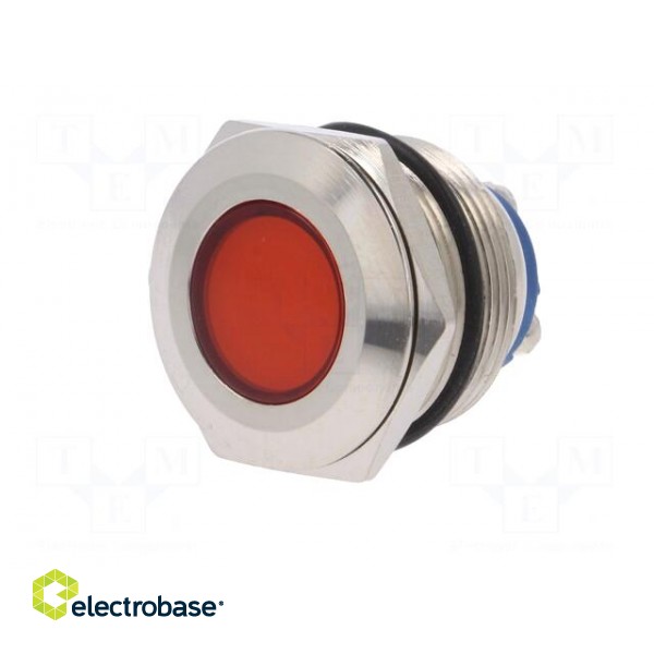 Indicator: LED | flat | 24VDC | 24VAC | Cutout: Ø22mm | screw | brass фото 2