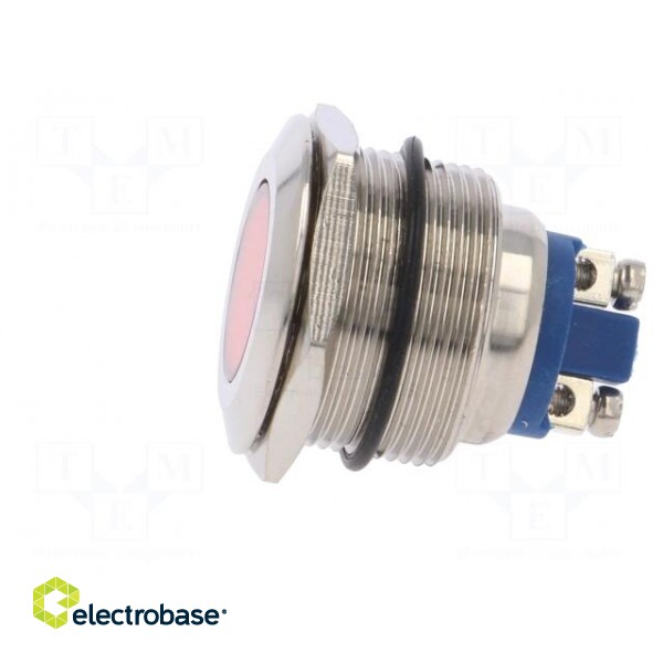 Indicator: LED | flat | 24VDC | 24VAC | Cutout: Ø22mm | screw | brass фото 3