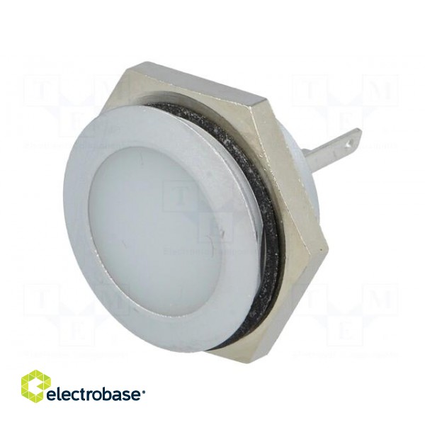 Indicator: LED | flat | 12÷14VDC | Cutout: Ø22mm | IP67 | metal image 1
