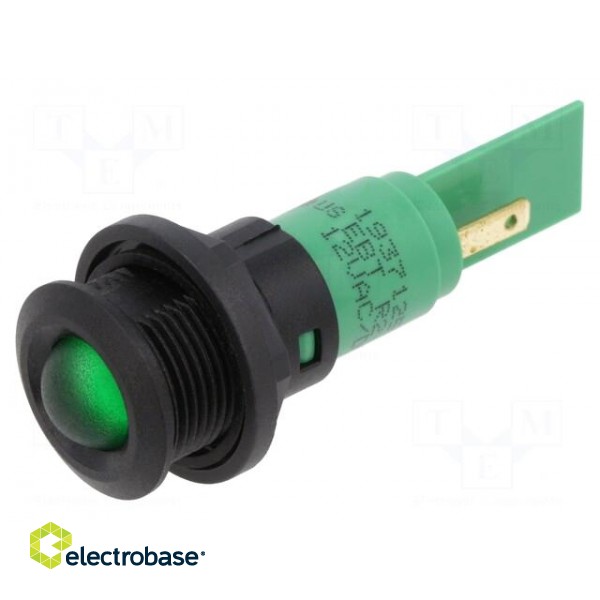 Indicator: LED | prominent | green | 12VDC | 12VAC | Ø16mm | IP67 | plastic фото 1