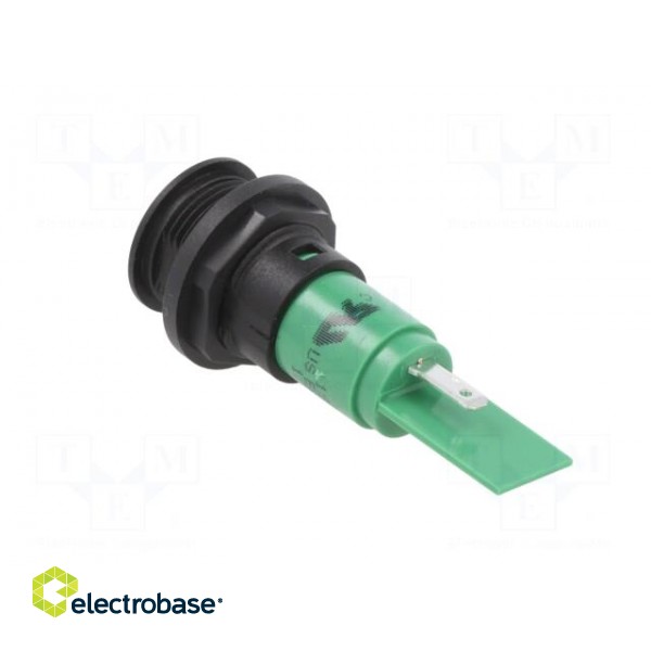 Indicator: LED | prominent | green | 12VDC | 12VAC | Ø16mm | IP67 | plastic paveikslėlis 4
