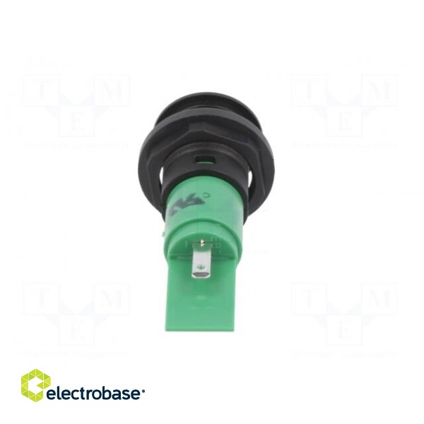 Indicator: LED | green | 12VDC | 12VAC | Ø16mm image 5
