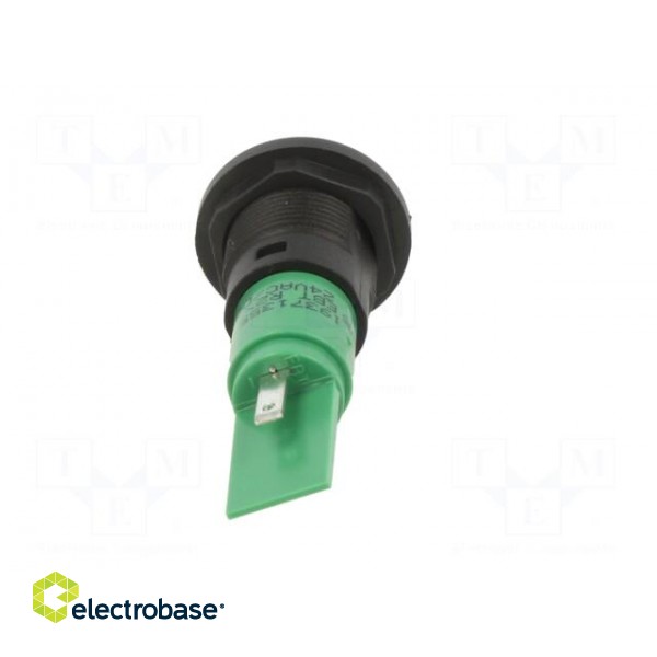 Indicator: LED | prominent | green | 24VDC | 24VAC | Ø16mm | IP67 | plastic image 5