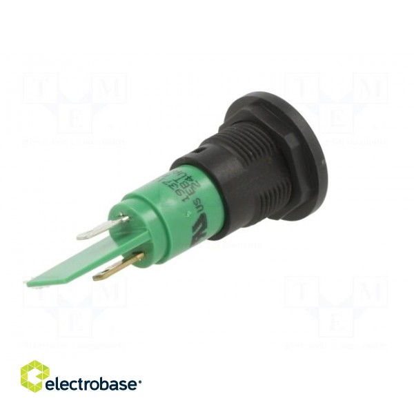 Indicator: LED | prominent | green | 24VDC | 24VAC | Ø16mm | IP67 | plastic image 6