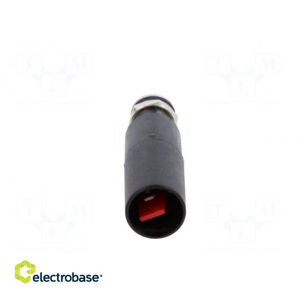 Indicator: LED | prominent | 230VAC | Cutout: Ø8mm | IP67 | plastic image 5