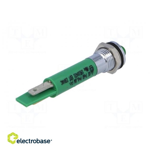 Indicator: LED | prominent | green | 230VAC | Ø8mm | IP67 | metal,plastic image 6