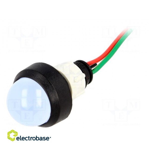 Indicator: LED | prominent | 24VDC | 24VAC | Cutout: Ø13mm | IP40