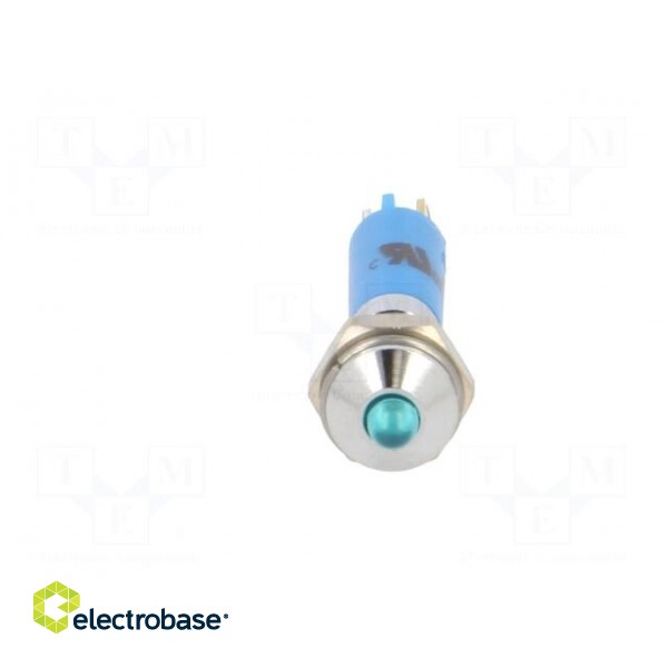 Indicator: LED | prominent | blue | 24VDC | Ø6mm | IP40 | metal,plastic image 9