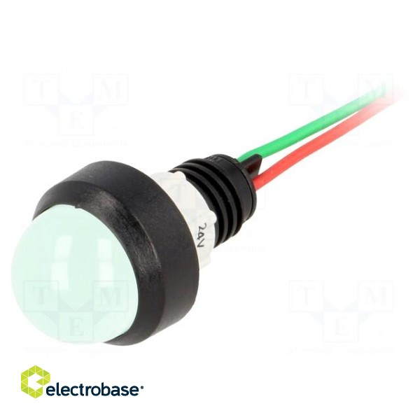 Indicator: LED | prominent | green | 24VDC | 24VAC | Ø13mm | IP40 | plastic