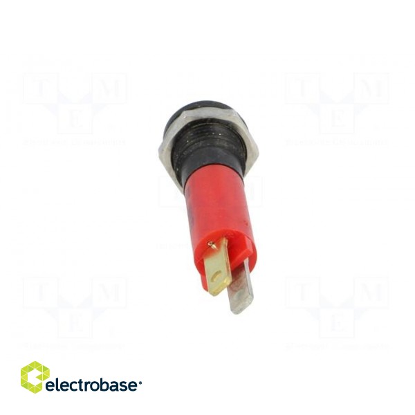 Indicator: LED | prominent | 24VDC | Cutout: Ø8mm | IP67 | plastic image 5