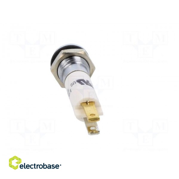 Indicator: LED | prominent | white | 24VDC | 24VAC | Ø8mm | IP67 | ØLED: 5mm image 5