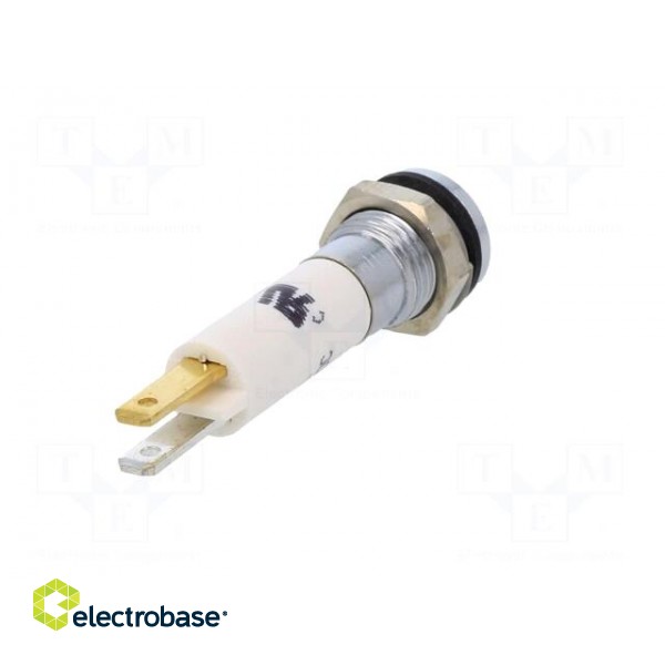 Indicator: LED | prominent | white | 24VDC | 24VAC | Ø8mm | IP67 | ØLED: 5mm image 6
