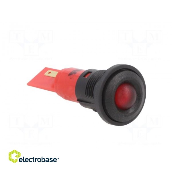 Indicator: LED | prominent | red | 12VDC | 12VAC | Ø16mm | IP67 | plastic image 8