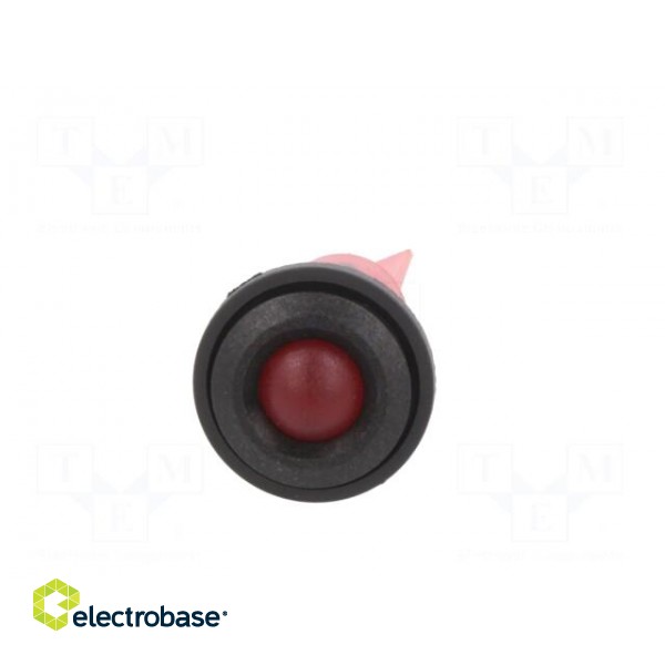 Indicator: LED | prominent | red | 12VDC | 12VAC | Ø16mm | IP67 | plastic image 9