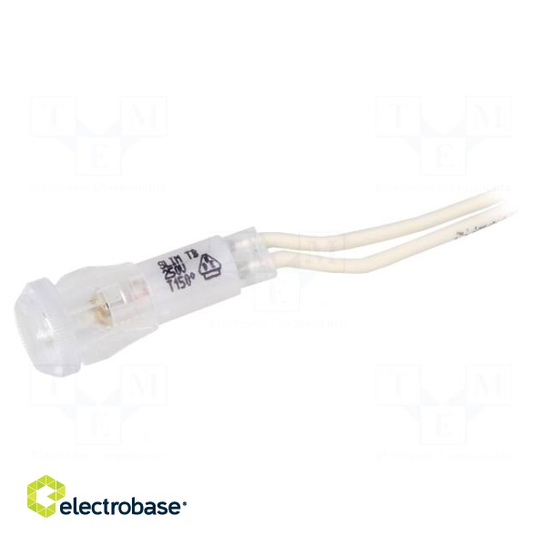 Indicator: with neon lamp | prominent | clear-white | 220VDC | 220VAC