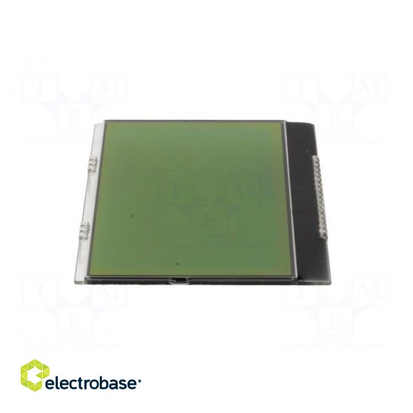 Display: LCD | graphical | 160x104 | STN Positive | yellow-green image 9