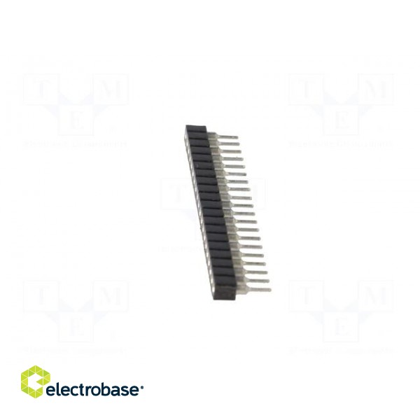 Pin socket | Application: EADOGM128 | PIN: 20 | Layout: 1x20 | 2.54mm фото 3