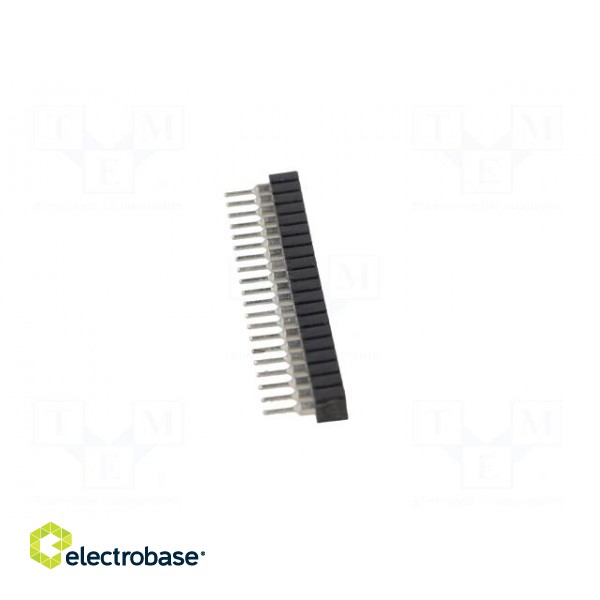 Pin socket | Application: EADOGM128 | PIN: 20 | Layout: 1x20 | 2.54mm paveikslėlis 7
