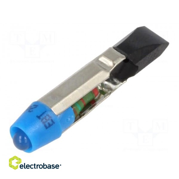 Indicator: LED | T5,5 | blue | plastic | 24VAC | 24VDC | -20÷60°C | 3mm