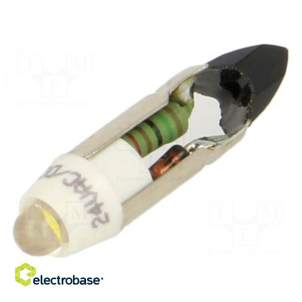 Indicator: LED | T5,5K | white warm | plastic | 24VAC | 24VDC | -20÷60°C