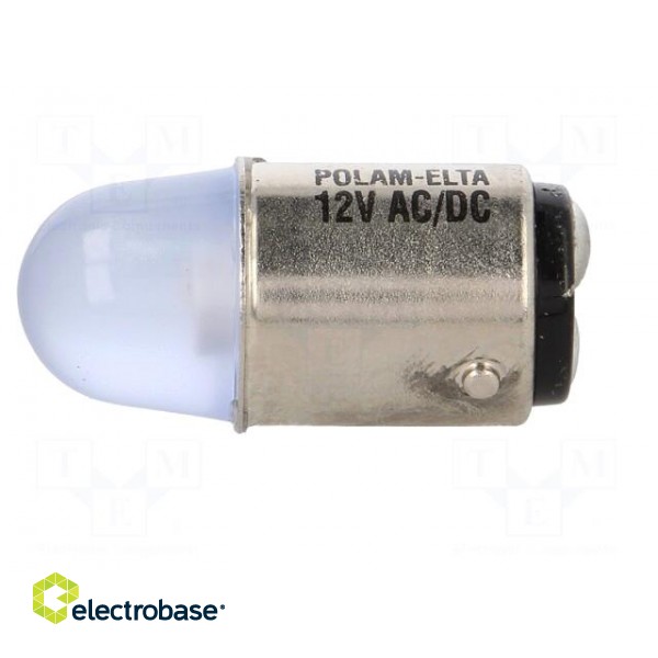 LED lamp | blue | BA15D | 12VDC | 12VAC фото 3