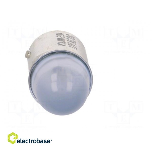 LED lamp | blue | BA15D | 12VDC | 12VAC фото 9