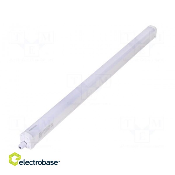 Lamp: LED | 30W | cool white | 120° | 5000K | CRImin: 80 | -20÷40°C | IP65 image 1