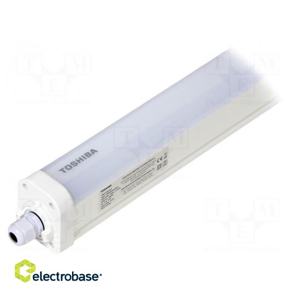 Lamp: LED | 30W | cool white | 120° | 5000K | CRImin: 80 | -20÷40°C | IP65 image 3